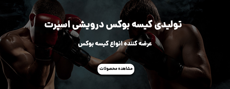 کیسه بوکس درویشی اسپرت