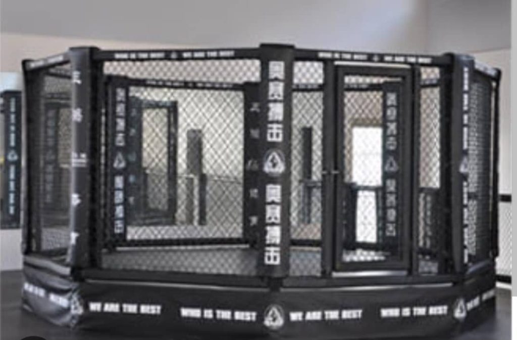 قفس مبارزه MMA